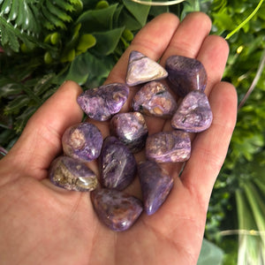 Charoite (medium)