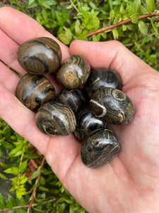 Stromatolite